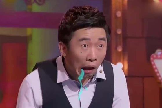 娱乐吃瓜猫杨迪,娱乐吃瓜猫的趣味人生