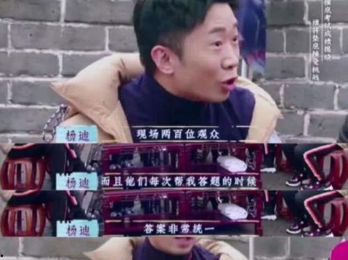 娱乐吃瓜猫杨迪,娱乐吃瓜猫的趣味人生